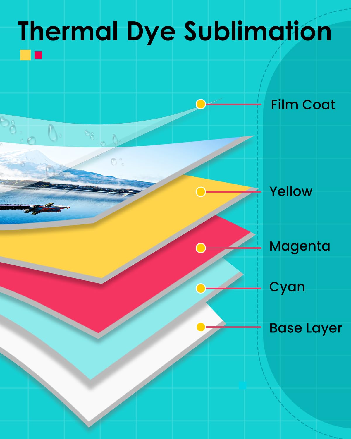 LP-80 Compatible for Liene Amb - Solvent Printer Ink avis et prix