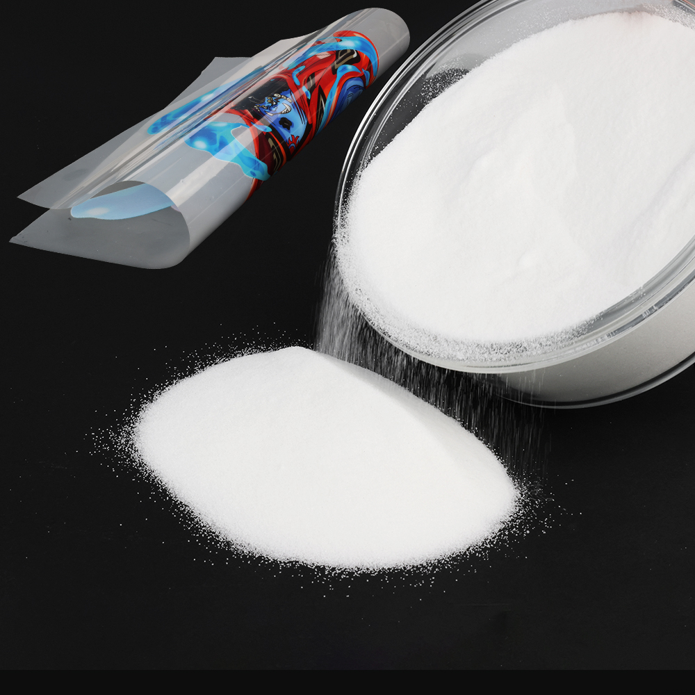 1000g 1kg DTF powder Fine powd - Solvent Printer Ink avis et prix