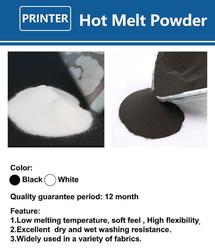 1000g 1kg DTF powder Fine powd - Solvent Printer Ink avis et prix